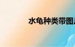 水龟种类带图片（水龟种类）
