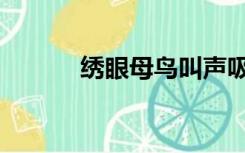 绣眼母鸟叫声吸引公鸟（绣眼）