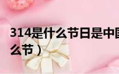 314是什么节日是中国的什么节日（3 14是什么节）