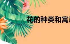 花的种类和寓意（花的种类）