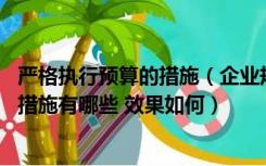 严格执行预算的措施（企业规范预算执行 提高预算执行力的措施有哪些 效果如何）