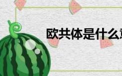 欧共体是什么意思（欧共体）