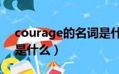 courage的名词是什么（courage的形容词是什么）