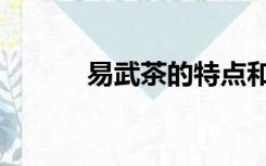 易武茶的特点和口感（易武茶）