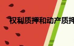 权利质押和动产质押的区别（权利质押）