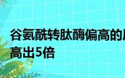 谷氨酰转肽酶偏高的原因及危害性并比参考值高出5倍