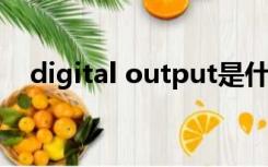 digital output是什么勾选上后没声音了