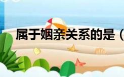 属于姻亲关系的是（姻亲关系是指什么）