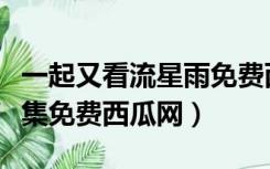 一起又看流星雨免费西瓜（一起来看流星雨全集免费西瓜网）