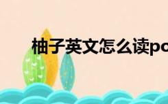 柚子英文怎么读pomelo（柚子英文）