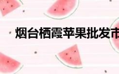 烟台栖霞苹果批发市场（烟台栖霞苹果）