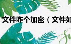 文件咋个加密（文件如何加密最简单的方法）