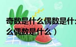 奇数是什么偶数是什么质数是什么（奇数是什么偶数是什么）