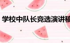 学校中队长竞选演讲稿（中队长竞选演讲稿）