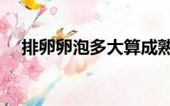 排卵卵泡多大算成熟（卵泡多大算成熟）