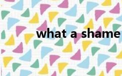 what a shame that是什么从句