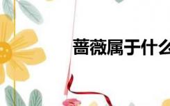 蔷薇属于什么科（蔷薇属）