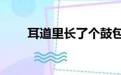 耳道里长了个鼓包一碰就疼（耳道）