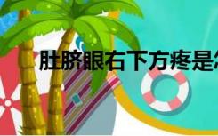 肚脐眼右下方疼是怎么回事（肚脐眼）