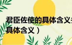 君臣佐使的具体含义并举例说明（君臣佐使的具体含义）