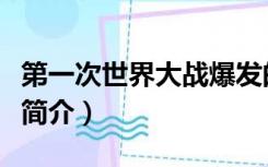 第一次世界大战爆发的原因（第一次世界大战简介）