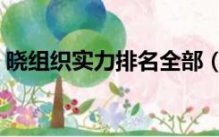 晓组织实力排名全部（晓组织成员实力排名）