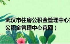 武汉市住房公积金管理中心官网个人业务系统（武汉市住房公积金管理中心官网）