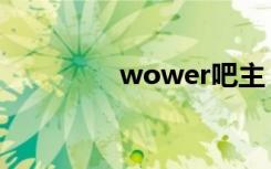 wower吧主（wower吧）