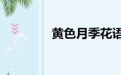 黄色月季花语（月季花语）