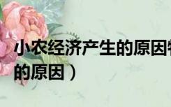 小农经济产生的原因特点评价（小农经济产生的原因）