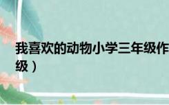 我喜欢的动物小学三年级作文（我喜欢小动物 的作文 三年级）