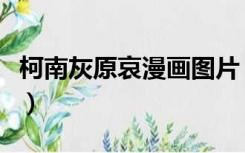 柯南灰原哀漫画图片（柯南和灰原哀肉翻漫画）