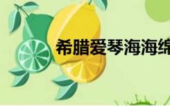 希腊爱琴海海绵（希腊爱情海）