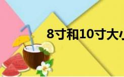 8寸和10寸大小（10寸大小）