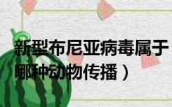 新型布尼亚病毒属于（新型布尼亚病毒主要由哪种动物传播）