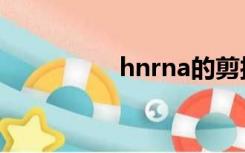hnrna的剪接（hnrna）