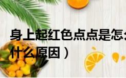 身上起红色点点是怎么回事（身上长小红点是什么原因）