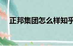 正邦集团怎么样知乎（正邦集团怎么样）