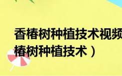 香椿树种植技术视频 香椿芽反季节栽培（香椿树种植技术）