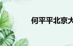 何平平北京大学（何平平）