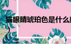 猫眼睛琥珀色是什么颜色（琥珀色是什么颜色）