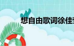 想自由歌词徐佳莹（想自由歌词）