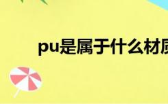 pu是属于什么材质（puc是啥材质）