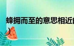 蜂拥而至的意思相近的词语（蜂拥而至的意思）