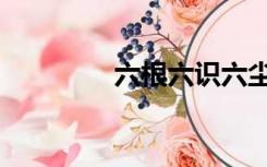 六根六识六尘五蕴（六根）