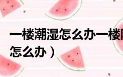 一楼潮湿怎么办一楼防潮处理方法（一楼潮湿怎么办）