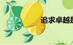 追求卓越是什么意思