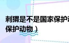 刺猬是不是国家保护动物类（刺猬是不是国家保护动物）