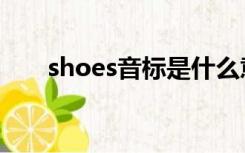 shoes音标是什么意思（shoes音标）