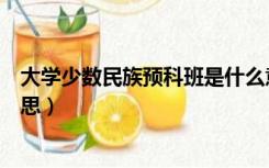 大学少数民族预科班是什么意思（少数民族预科班是什么意思）